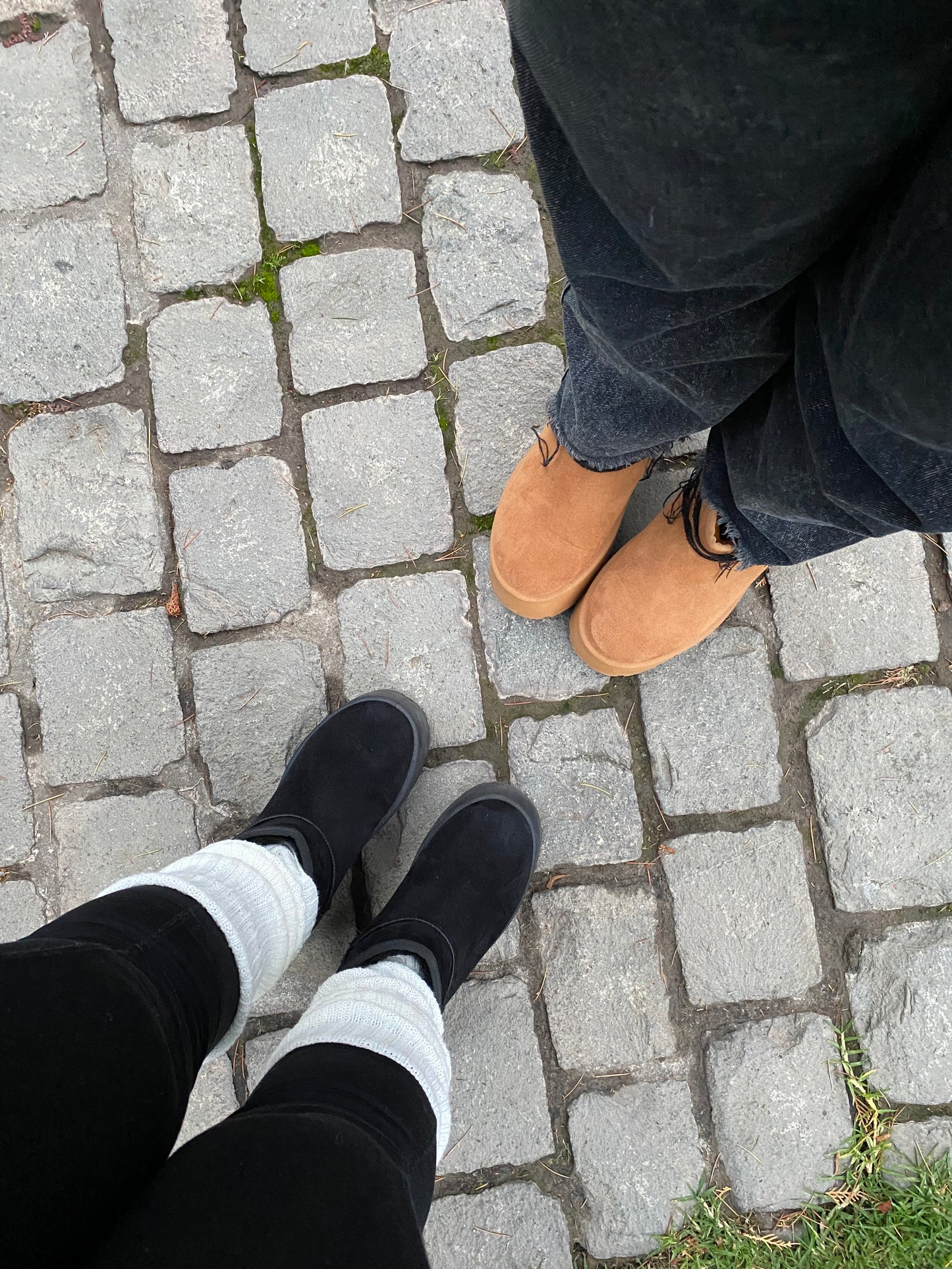 Pantubotas